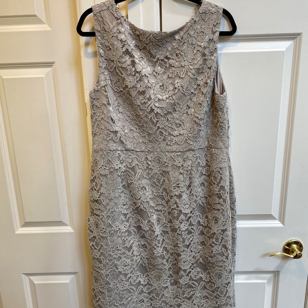 Adrianna Papell Nude Lace Dress - Picture 5 of 5